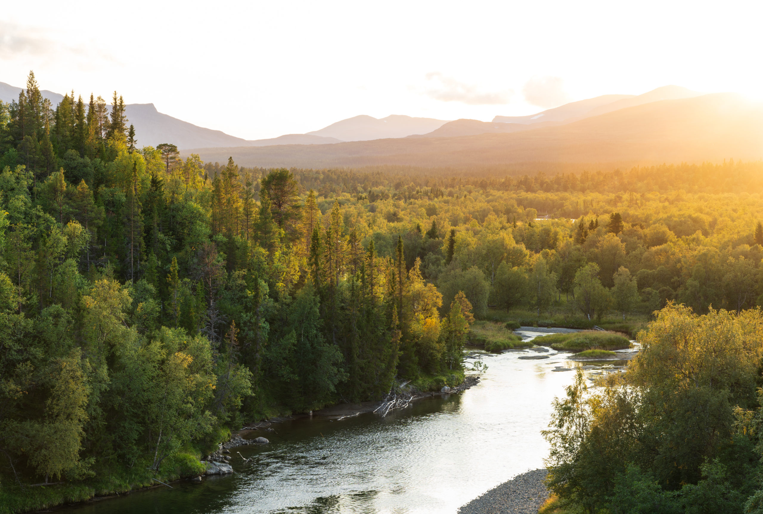 Partez à la dérive sur la rivière Klarälven