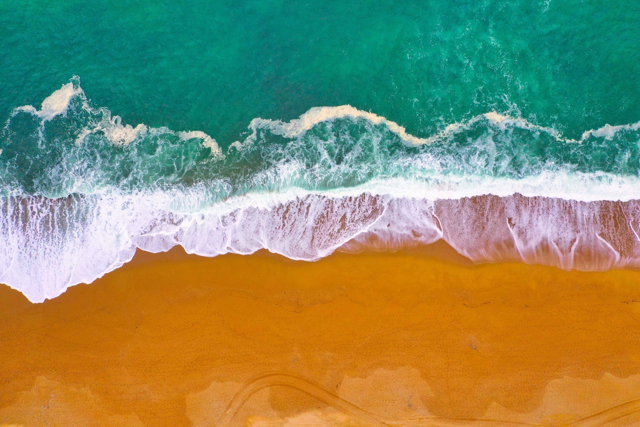 Un peu de culture avant de partir au pays Basque